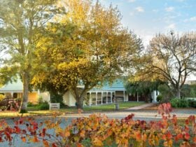 Rusden Wines Cellar Door