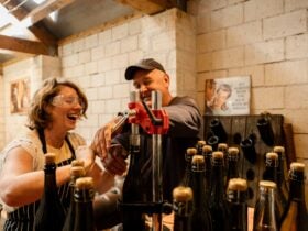 Sparkling Winemaker For The Day