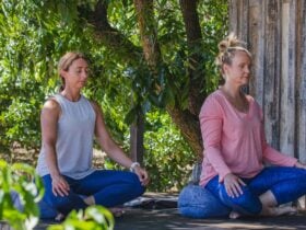 Rising Strong Brene Brown Retreat