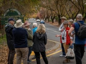 People Walking to Beerenberg