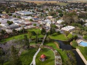View of the town of Strathalbyn from above