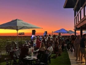 Atzes summer of sunsets