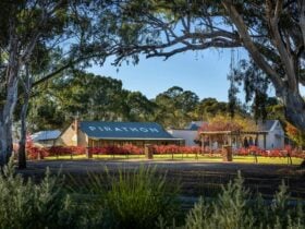 Pirathon cellar door Tanunda