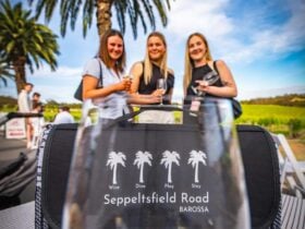 Girls enjoying their day at Seppeltsfield Road Event with SR picnic rug in the front of the image