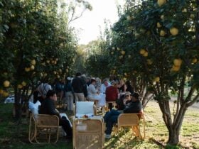 Tasting Australia by Road