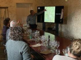 Wine Masterclass