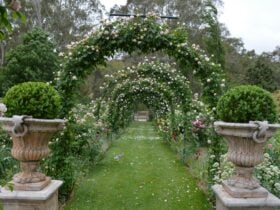 The wedding entrance