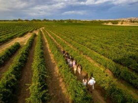 Anzac Commemoration Kies Family Wines