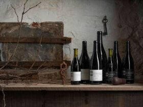 Bottles
