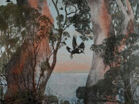 Artwork by Dianne Fogwell - THE DAREDEVIL - linocut - woodcut - pigmented ink - H) 76.5cm x W) 76.5