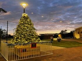 The Twinkling LAUNCH - Lights Competition & Trails