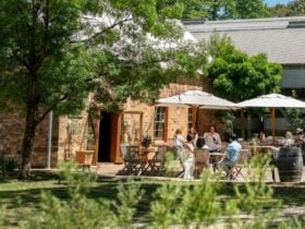 Mitchell Wines Cellardoor