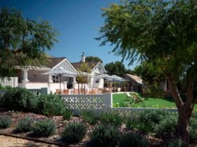 Outside view of Wonderground Gallery and Cellar Door