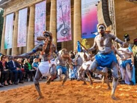 Yolŋu artists performing, Tarnanthi 2019, Art Gallery of South Australia, Adelaide