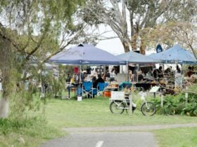 market from shiraz trail