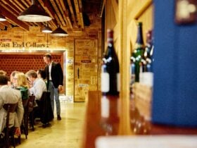 Waiter pouring a bottle of wine into guests glasses and a long table
