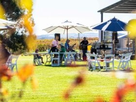 Live music on the lawns at Tim Smith Wines.