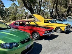 A line of classic Ford cars parked in front of trees