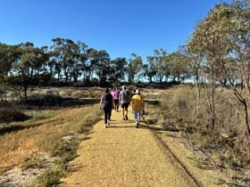 Waikerie Wetlands Parkrun