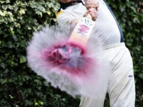 Wine and Wickets - Cricket Bat and Water Balloon Filled with Wine
