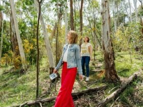 wild flower walk at suinclairs gully