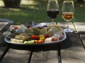 Magpie Springs wine tasting experience with a platter of cheeses, fruits, and bread in a scenic vine