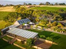 Paxton Wines