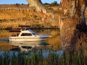 Cruising along the Murray River near the cliffs in Waikerie