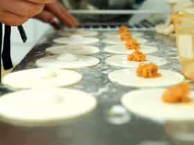 House Made Dumplings