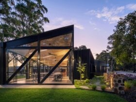 A glass and steel structure is perched among towering gums