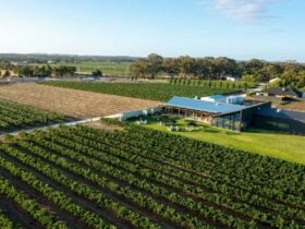 Artisans of Barossa from above