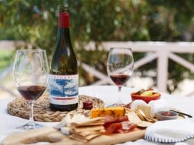 Two glasses of wine are presented with a delicious cheese board of local produce.