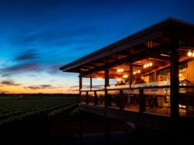 Cellar Door Terrace at sunset