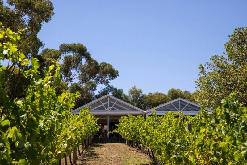 Winery Restaurant hidden in the vines in McLaren Vale