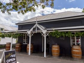 Brothers at War Cellar Door