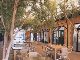 cafe SABA