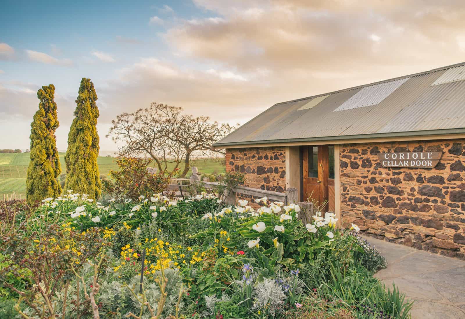 Coriole cellar door