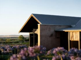 Corryton Burge Cellar Door at Sunrise