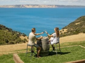 Dudley Cellar Door