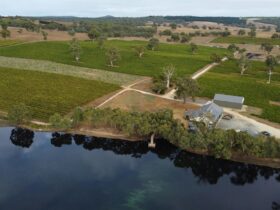 Ariel View of the Eden Hall Vineyard