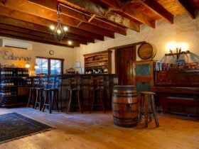 Cellar Bar