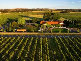 Elderton Cellar Door