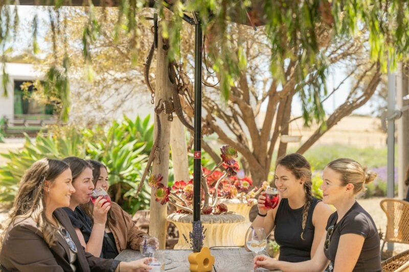 Cocktails in the Sun