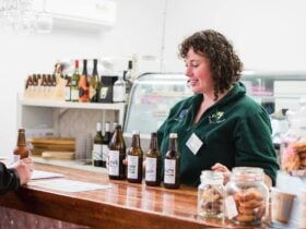 Cider Tasting Experience