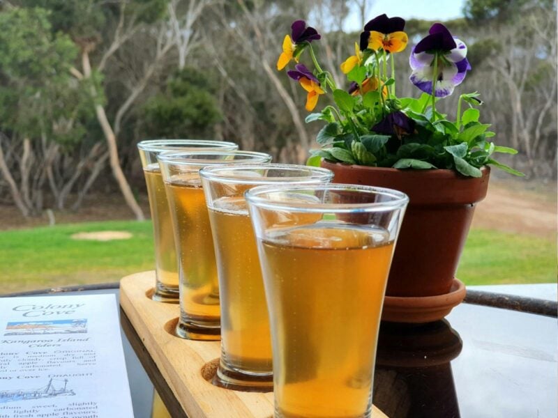 KI Cider Tasting Paddle