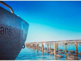 Streaky Bay Oyster Lease