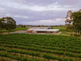 Cellar door exterior
