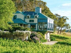 The cellar door of Hahndorf Hill set in the heart of the vineyard.