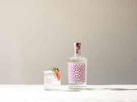 Bottle of Happenstance Signature Gin with a Gin & Tonic, garnished with strawberry and rosemary