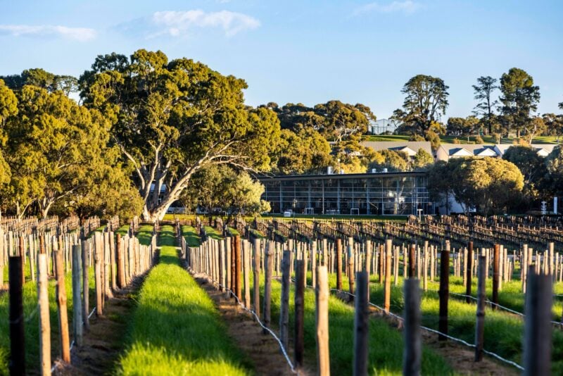 Harvest Kitchen Venue at Jacob's Creek Visitor Centre